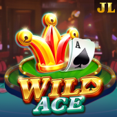 Wild Ace old fox game icon